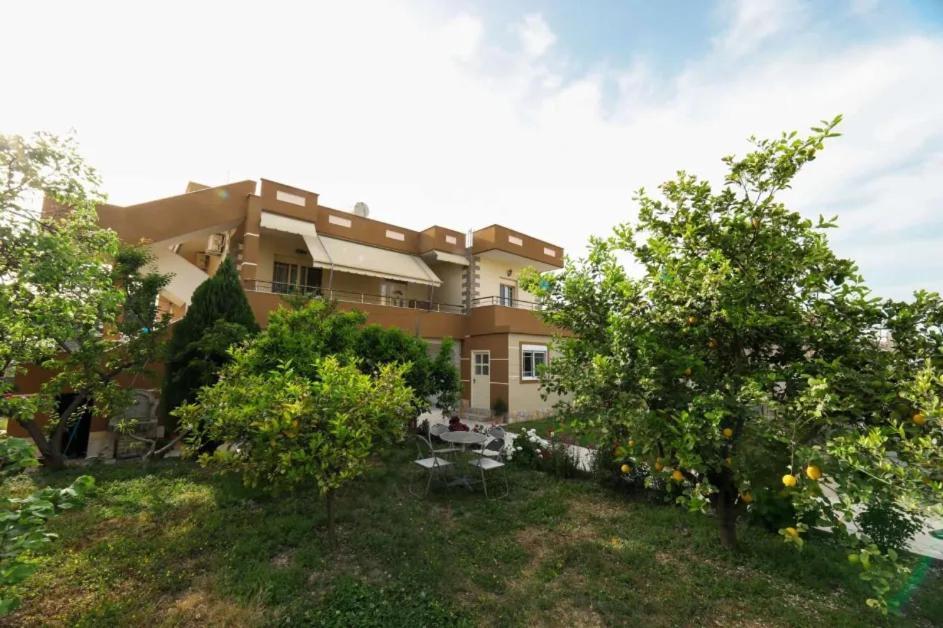 Vila Agolli Avlonya Dış mekan fotoğraf