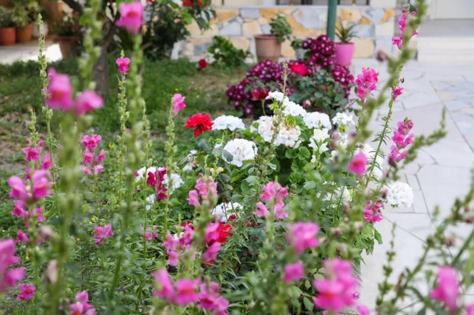 Vila Agolli Avlonya Dış mekan fotoğraf