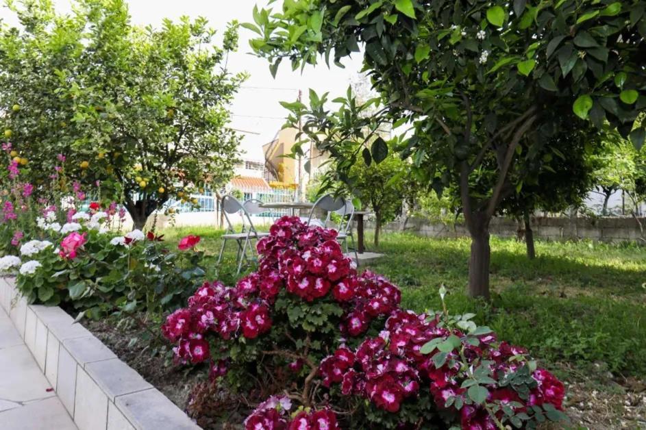 Vila Agolli Avlonya Dış mekan fotoğraf
